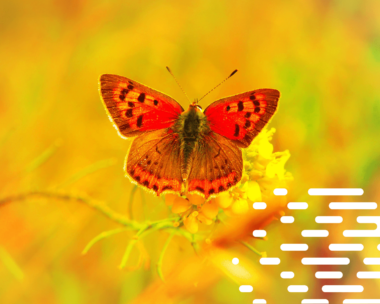 blog-cloudtransformation