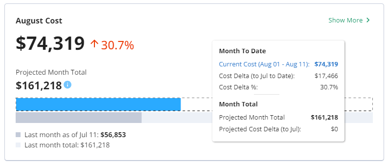 Cost - Analyze your bill or forecast